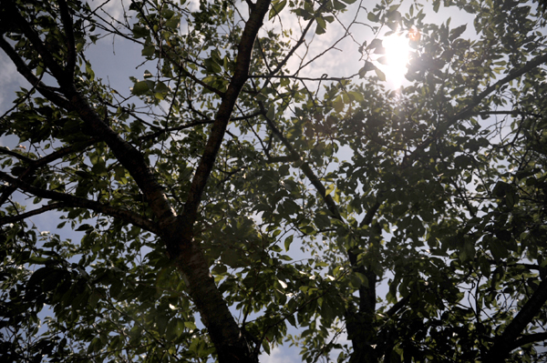 714 mini2 DSC_7532.jpg